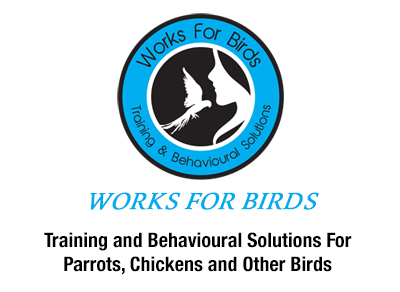 Melbourne Bird Trainer